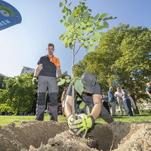 BaumpflanzungTagDerReligionen am 11.09.2024